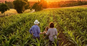 Tendências da agricultura familiar brasileira